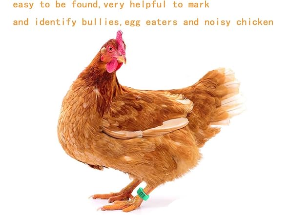 OTEHOO 1-100 Numbers Poultry Leg Bands