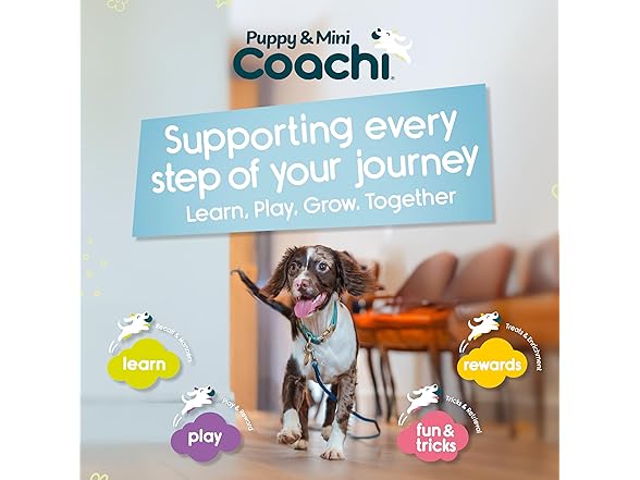 Coachi Puppy & Mini Toilet Training Bell
