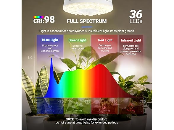 Barrina clip lamp