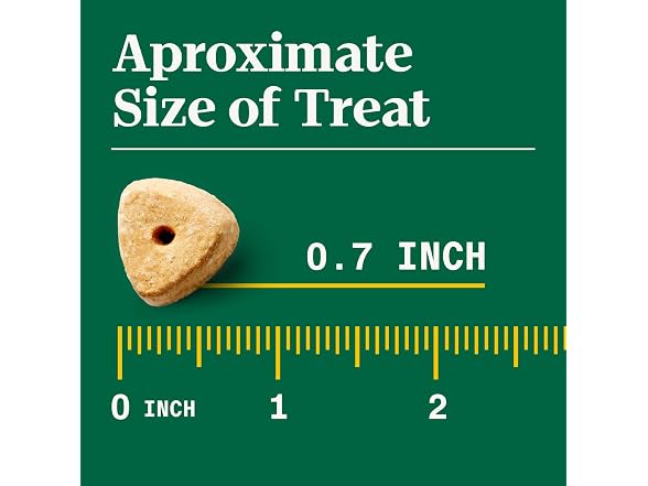 Nutro Crunchy Dog Treats Berries, 16 oz