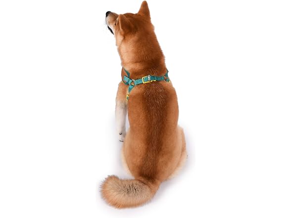 Scooby-Doo! No Pull Dog Harness, Adjustable,