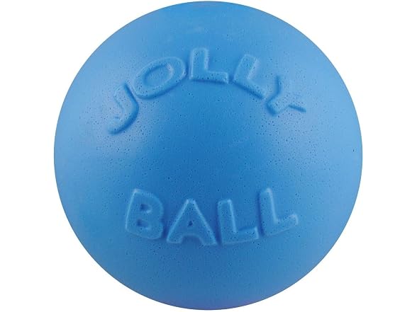 Jolly Pets Bounce-n-Play Dog Toy Ball, 8 In