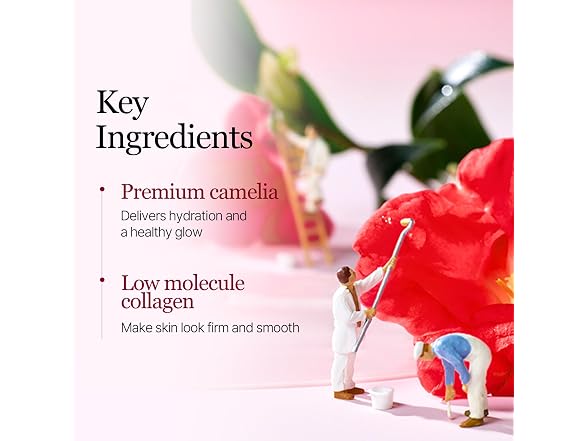 Round Lab Camellia Collagen Hydrogel Mask 4 Pack