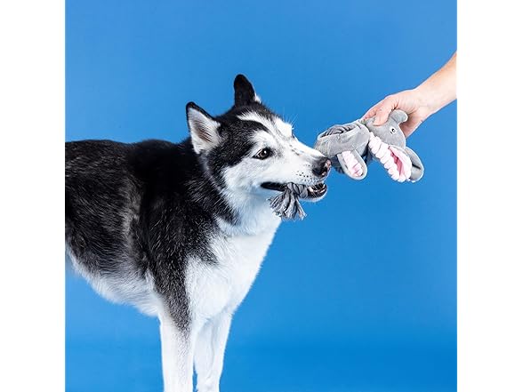 Fringe Studio Plush Dog Toy with Rope, Squeaky Rope
