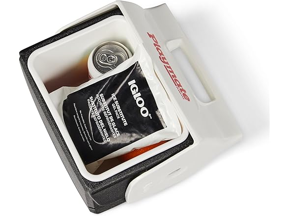 Igloo MaxCold Gel Ice Packs, Reusable
