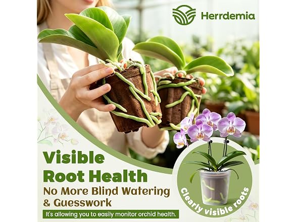 Herrdemia Orchid Mix Soil