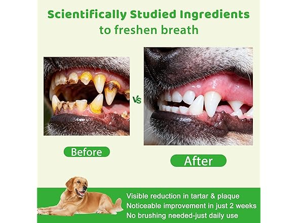 Mshuheene Dog Dental Powder