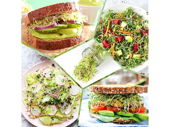 Kitmiido Seed Sprouting Kit Mason Jars