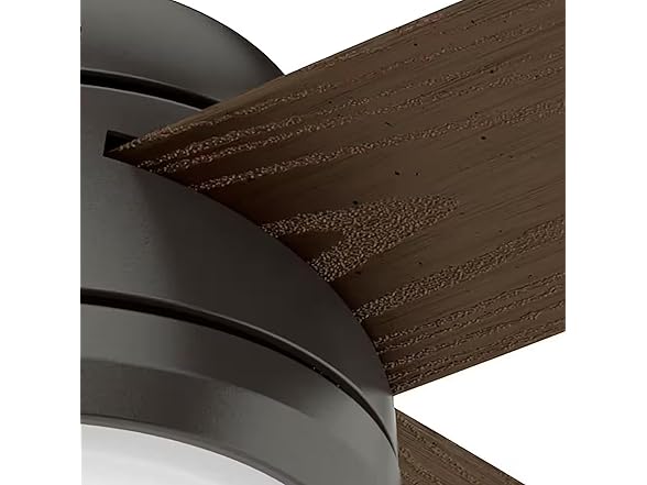 Hunter Fan 52" w/ Light Kit and 4-Blades