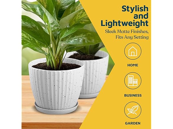 6" Plant Pots w/ Saucers 24pk