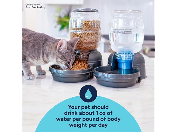Petmate Replendish Automatic Dog Water Dispenser