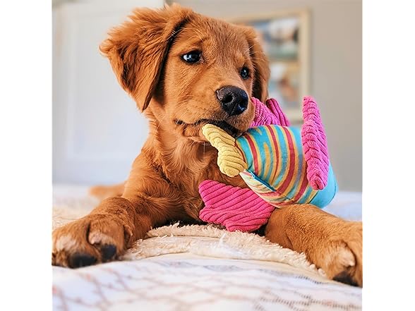 Barkbox Lion Fish Larry Dog Toy | Plush