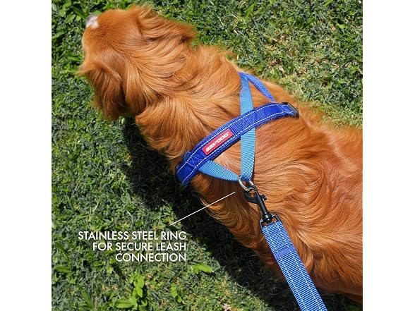 EzyDog Quick Fit Dog Harness, Soft Neoprene