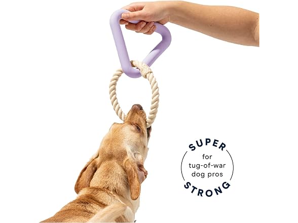 Wild One Triangle Tug Dog Toy for Small Breed