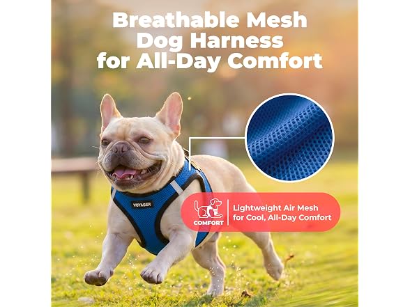 Voyager Step-in Air Dog Vest Harness Royal