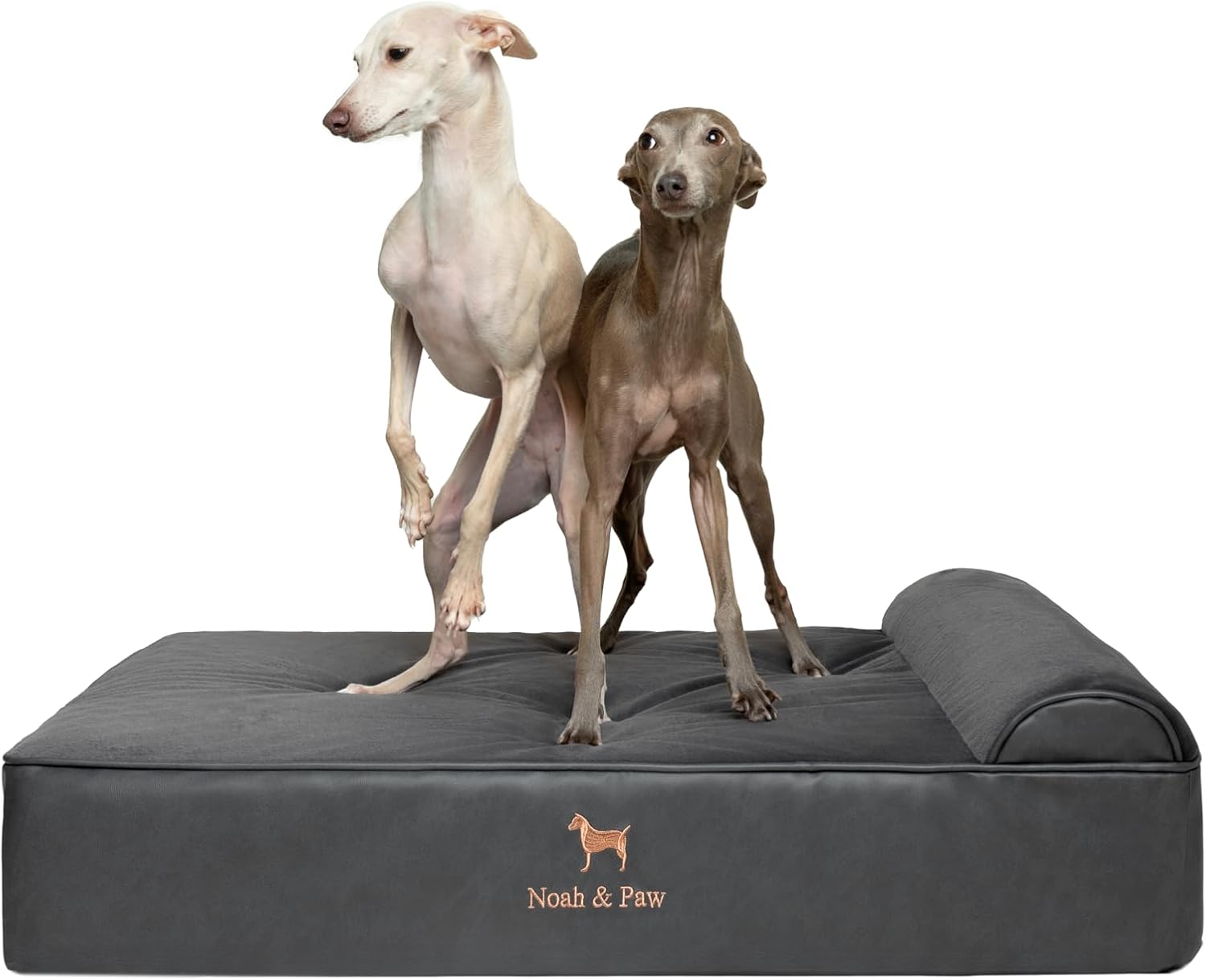 NOAH & PAW Orthopedic Dog Beds- Large - Gallery 12