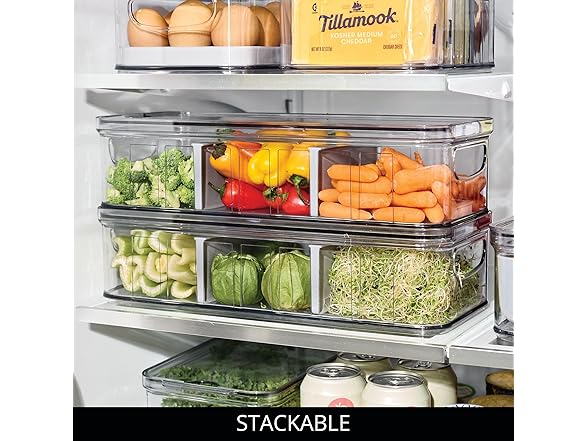 InterDesign iDesign Recycled Plastic Crisp Large Divided Fr