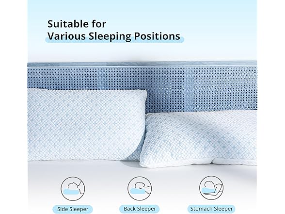 EGOHOME Shredded Memory Foam Pillows Cooling