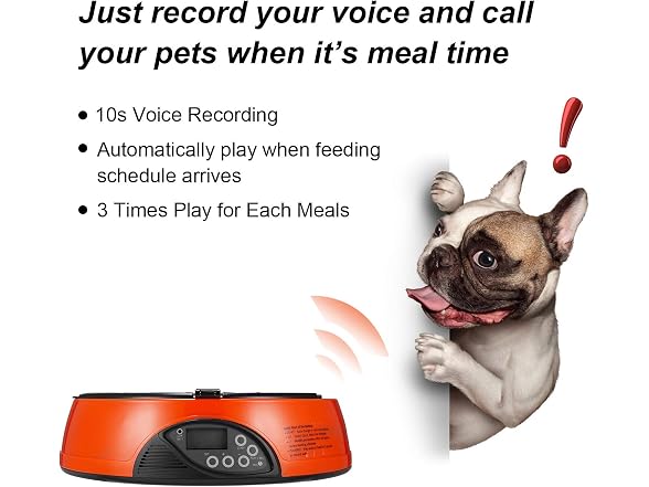 Qpets Programmable Auto Pet Feeder