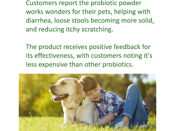 TummyWorks Probiotics for Dogs and Cats.