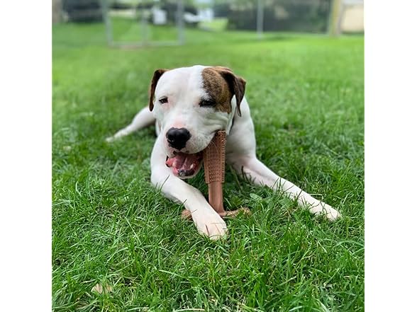 SPOT Bam-Bones Plus Coffee Wood T-Bone Dog Chew Toy, Beef