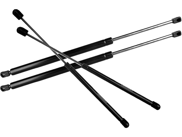 Rear Liftgate Struts Ford Escape