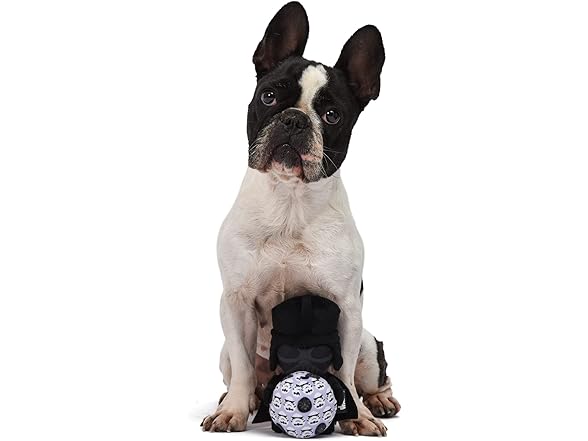 STAR WARS for Pets Easter 6" Darth Vader