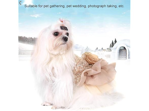 Zerodis Dog Wedding Dress Summer Sequined Pr