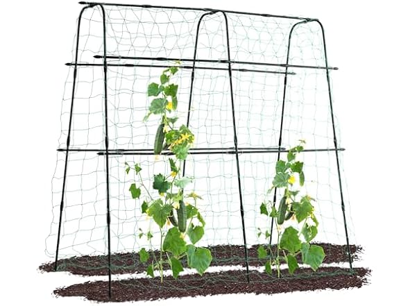 Lalahoni Cucumber Trellis | 5.3x5.3 Feet
