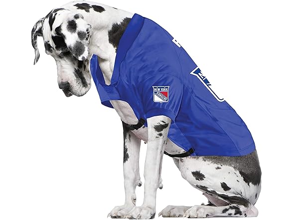Rangers Pet Jersey Big Dog