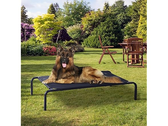 POLI PETS Elevated Dog Bed Medium Size