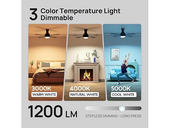 Consciot 52 Inch Ceiling Fan With Lights, Modern Black