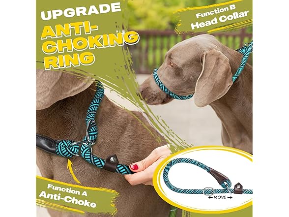 Fida Durable Slip Lead Dog Leash, 6 FT