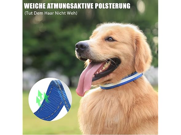 Guuueoo LED Dog Collar, Light Up Dog Collars 