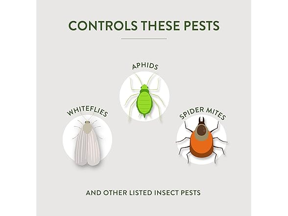 Fungicide with Neem Oil 32oz 6pk