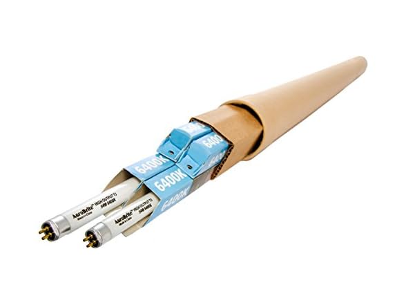 Hydrofarm T5 4' 6400K Grow Bulb