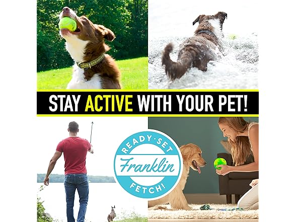 Franklin Pet Supply Co. RSF Laugh and Wiggle Ball