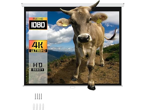 ProHT 84" Manual Projection Screen