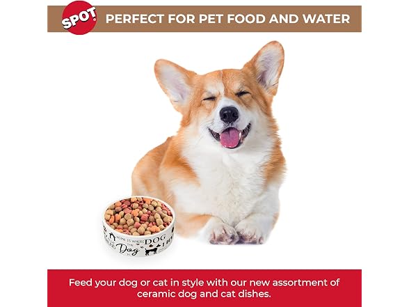 SPOT I Love Dogs Ceramic Bowl 5in 14oz