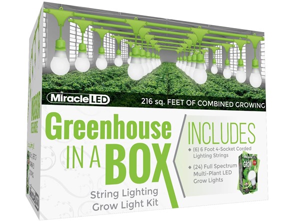 Daylight 12-Watt (6-Pack)