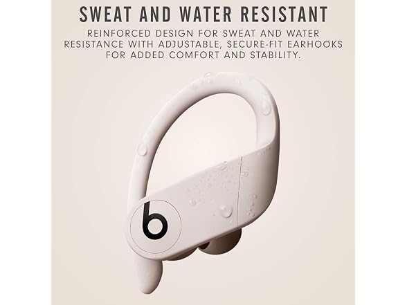 Beats Beats Powerbeats Pro Wireless Earbuds -