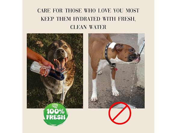 Generic (2 Pack) Dog Water Bottle