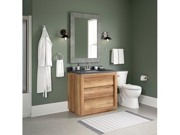 Peerless PA547-BN Precept Double Towel Hook