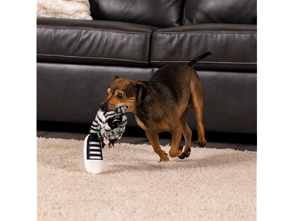 Pet Factory Squeaky Sneakers Bungee Tug Plush