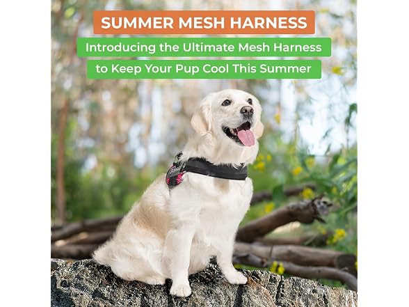 Joyride Summer Mesh No-Pull Dog Harness 2.0