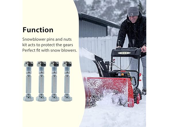 Aillsa Shear pins and Nuts Set Four
