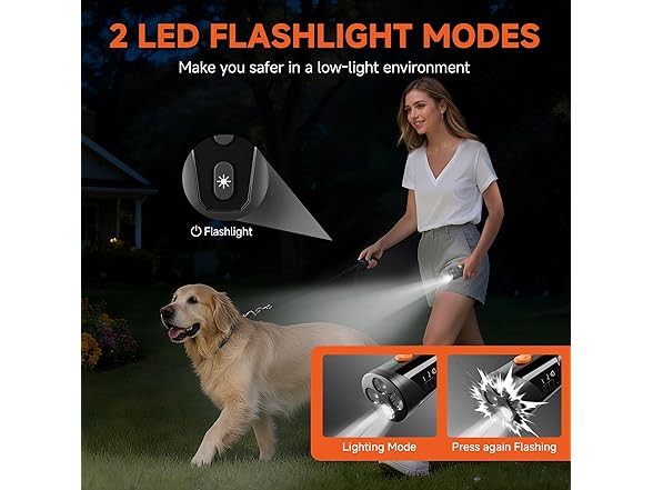 Dog Bark Deterrent Device