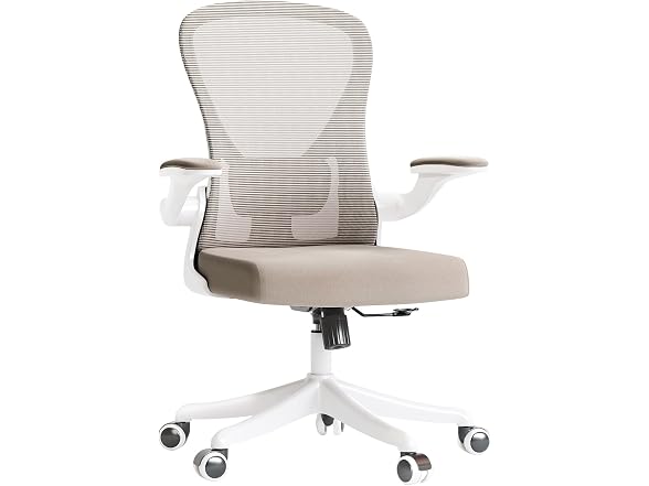 Ergonomic Office Desk Chair High Back