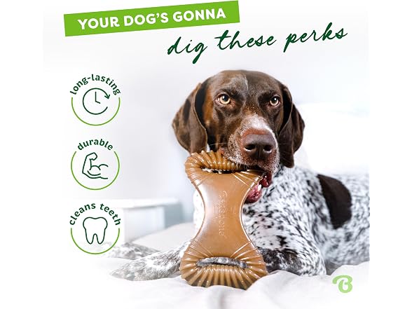 Benebone Benebone Dental Durable Dog Chew Toy