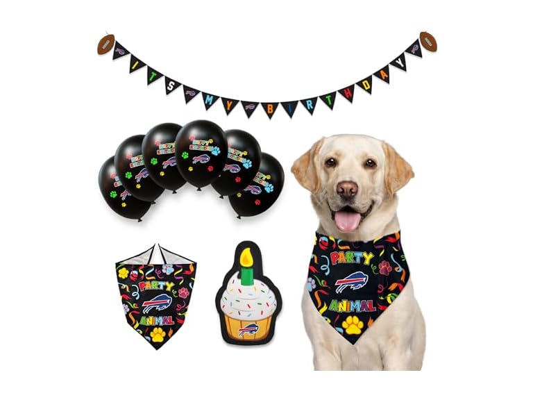Pets First NFL Detroit Lions Dog Birthday Party Set 9